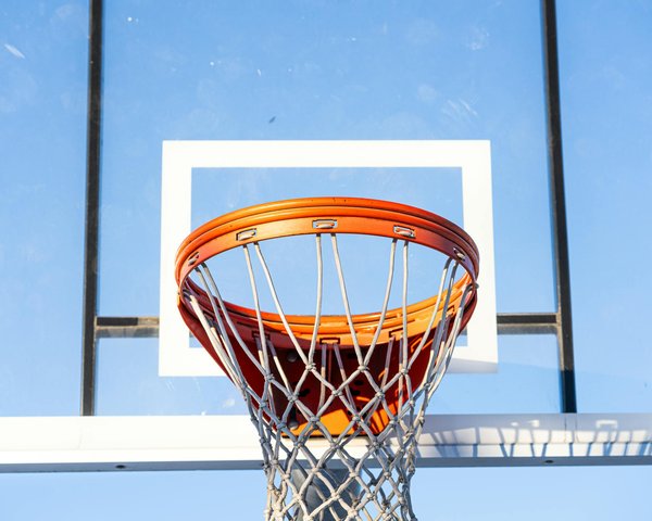 les techniques de finalisation en combat pour mettre fin rapidement au combat